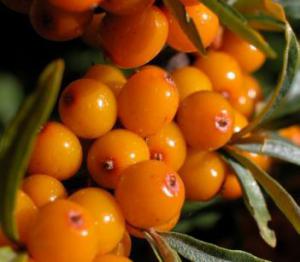 5ab4ff94edd6198941672363edefab3d