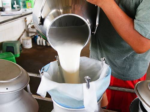 Непастеризованные продукты в 840 раз вреднее пастеризованных