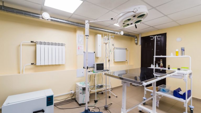 Оборудование для ветклиники