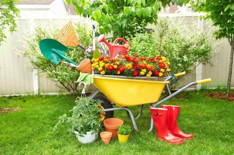 Что нужно для дачи? Покупка материалов