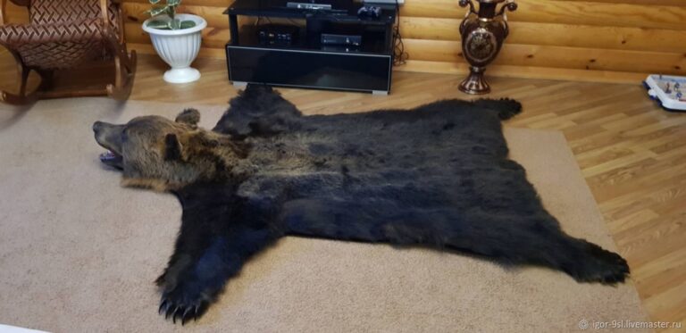 Качественные шкуры и чучела по доступным ценам для вашего интерьера и коллекции